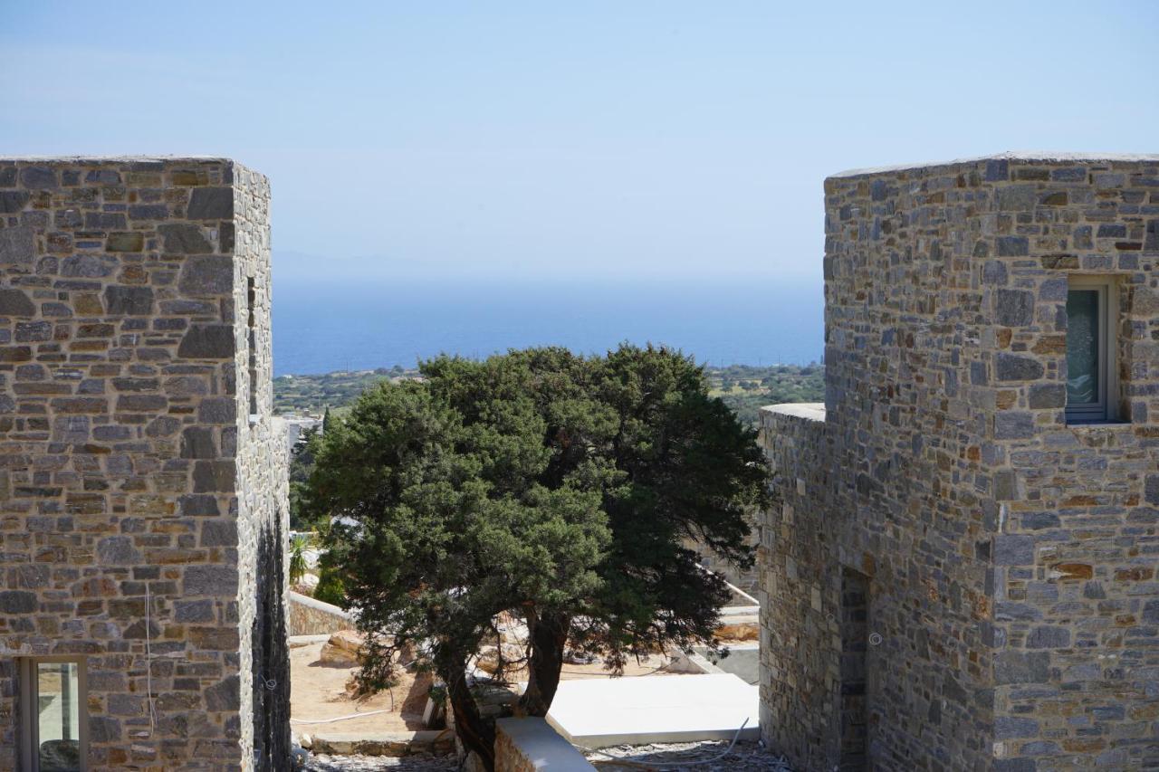Paros-Memories-Neubau-Villen, Sportpool Aspro Chorio Zewnętrze zdjęcie